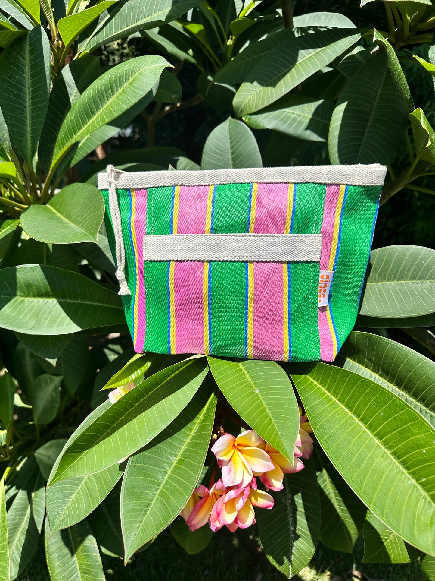 The PALMA Pouch
